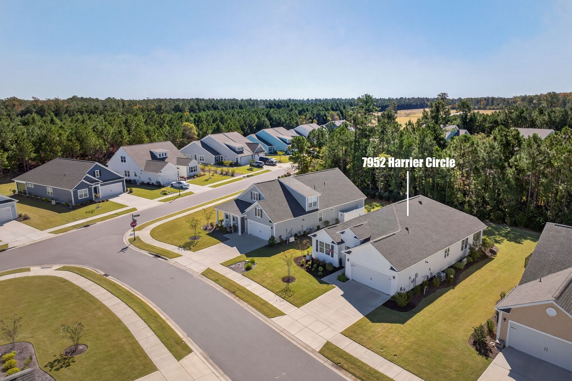 7952 Harrier Circle home in Brunswick Forest community, Leland NC — aerial neighborhood view